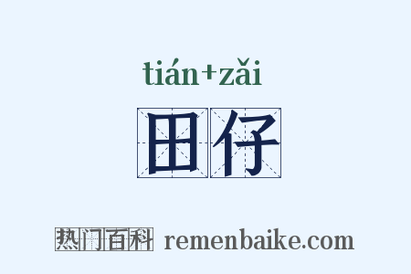 田仔是什么意思的图片